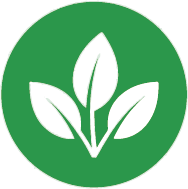 Water Efficiency